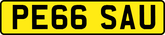PE66SAU