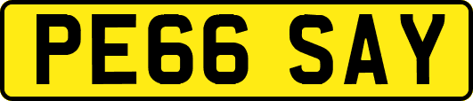 PE66SAY