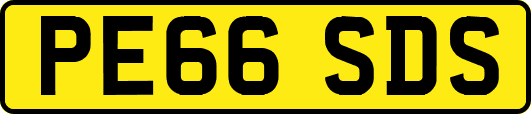 PE66SDS