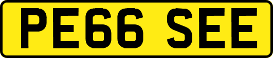 PE66SEE