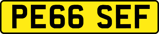 PE66SEF