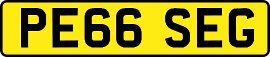 PE66SEG