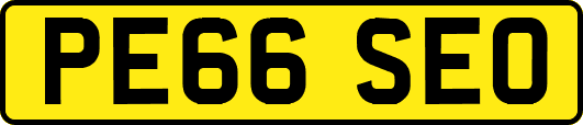 PE66SEO