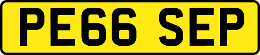 PE66SEP