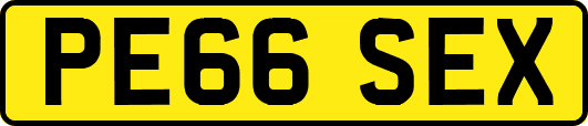 PE66SEX