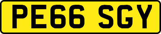 PE66SGY