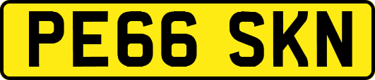 PE66SKN