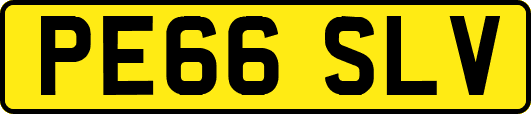 PE66SLV