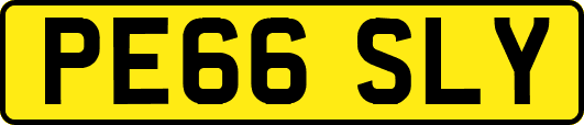 PE66SLY
