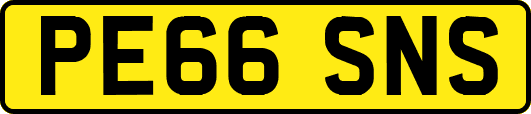 PE66SNS