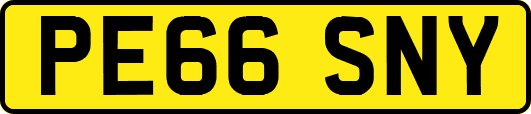 PE66SNY