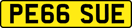 PE66SUE