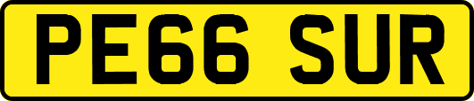 PE66SUR