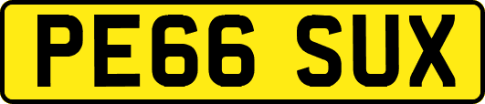 PE66SUX