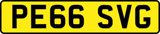 PE66SVG