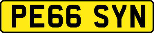 PE66SYN