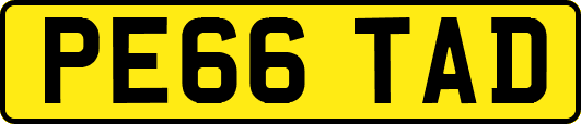 PE66TAD