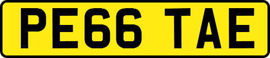PE66TAE