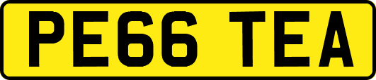 PE66TEA