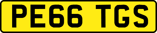 PE66TGS
