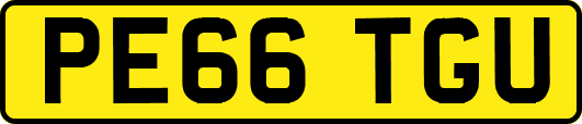 PE66TGU