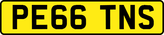 PE66TNS