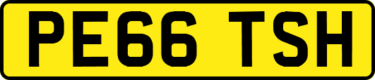 PE66TSH