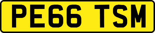 PE66TSM