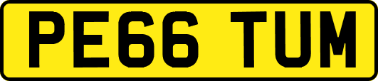 PE66TUM
