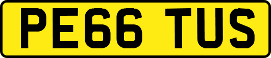 PE66TUS