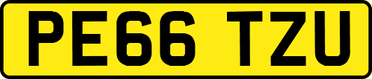 PE66TZU