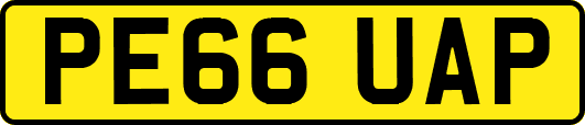 PE66UAP