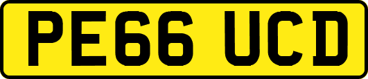 PE66UCD