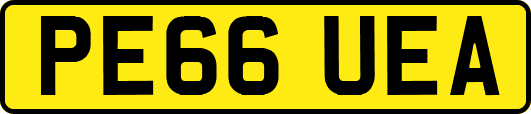 PE66UEA