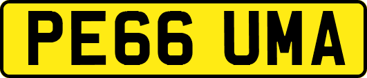 PE66UMA