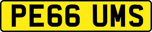 PE66UMS