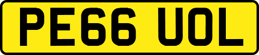 PE66UOL