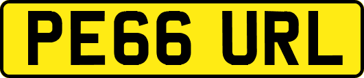 PE66URL