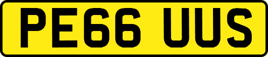 PE66UUS