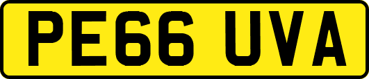 PE66UVA