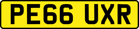 PE66UXR