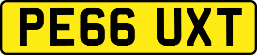 PE66UXT