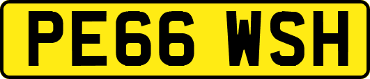 PE66WSH