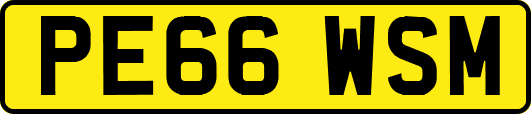 PE66WSM