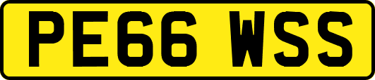 PE66WSS