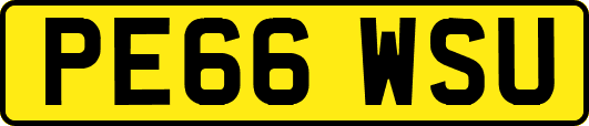 PE66WSU
