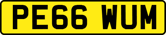 PE66WUM