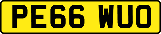 PE66WUO