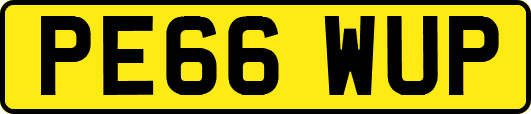PE66WUP
