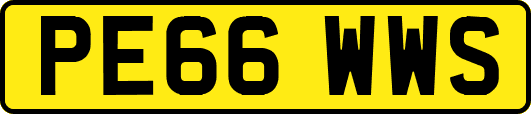PE66WWS